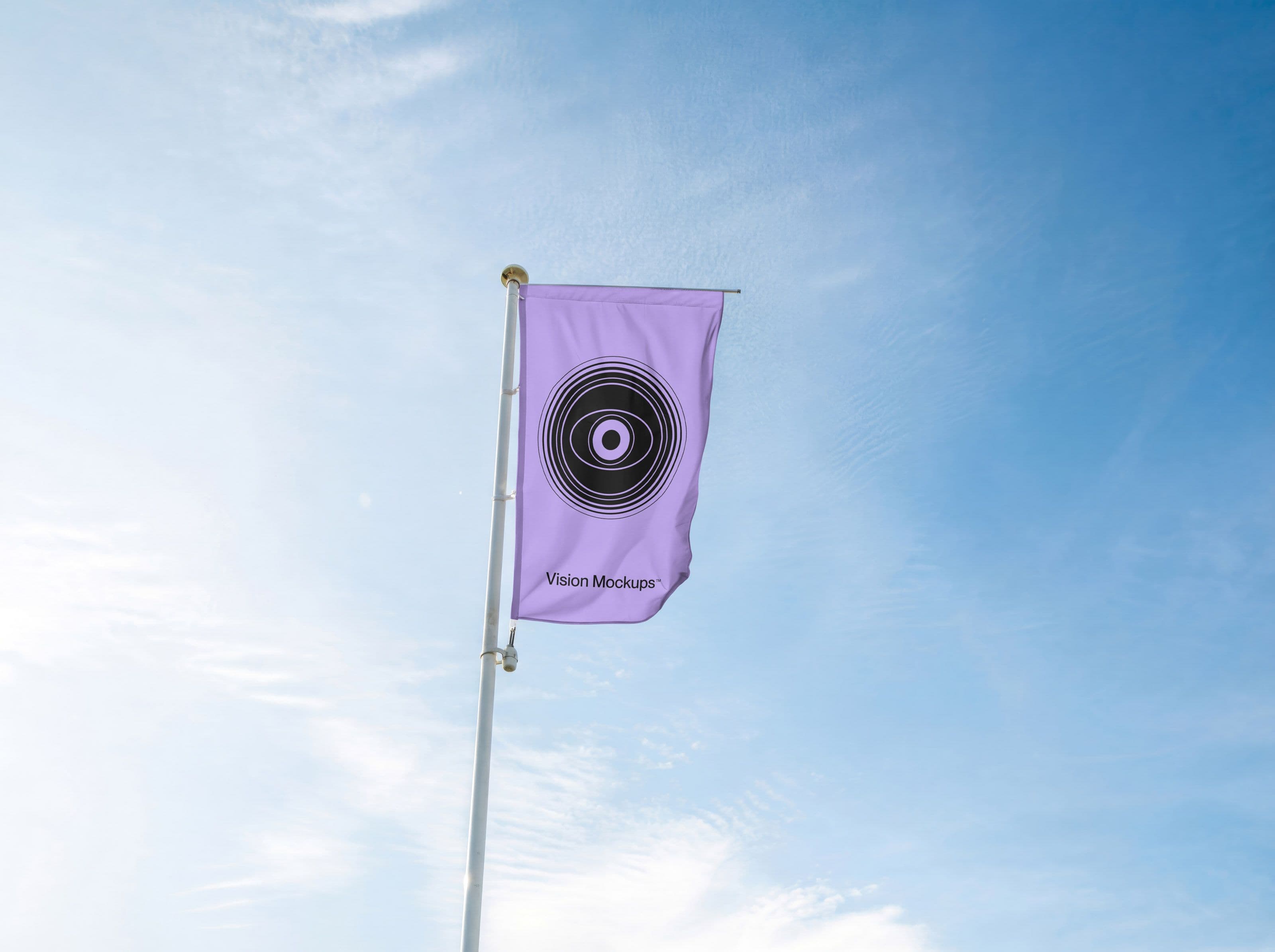 Vision S022 - Flag Mockup - Image 1