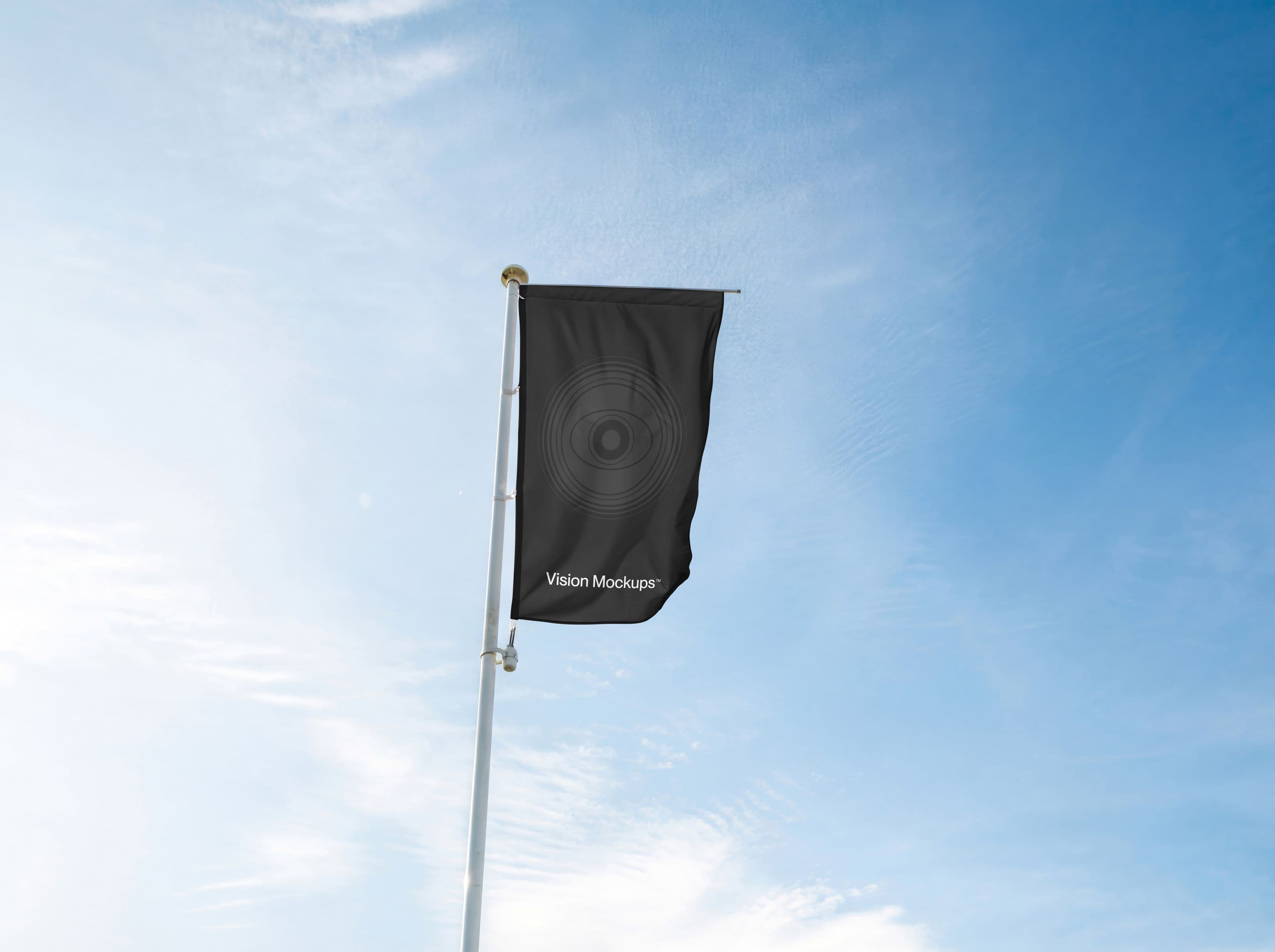 Vision S022 - Flag Mockup - Image 2